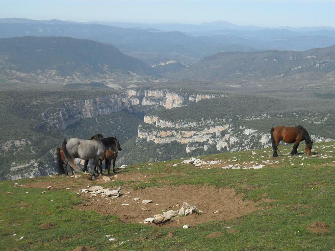 Appartamento Bienvenidos A Vuestra Casa! Sansoáin Esterno foto