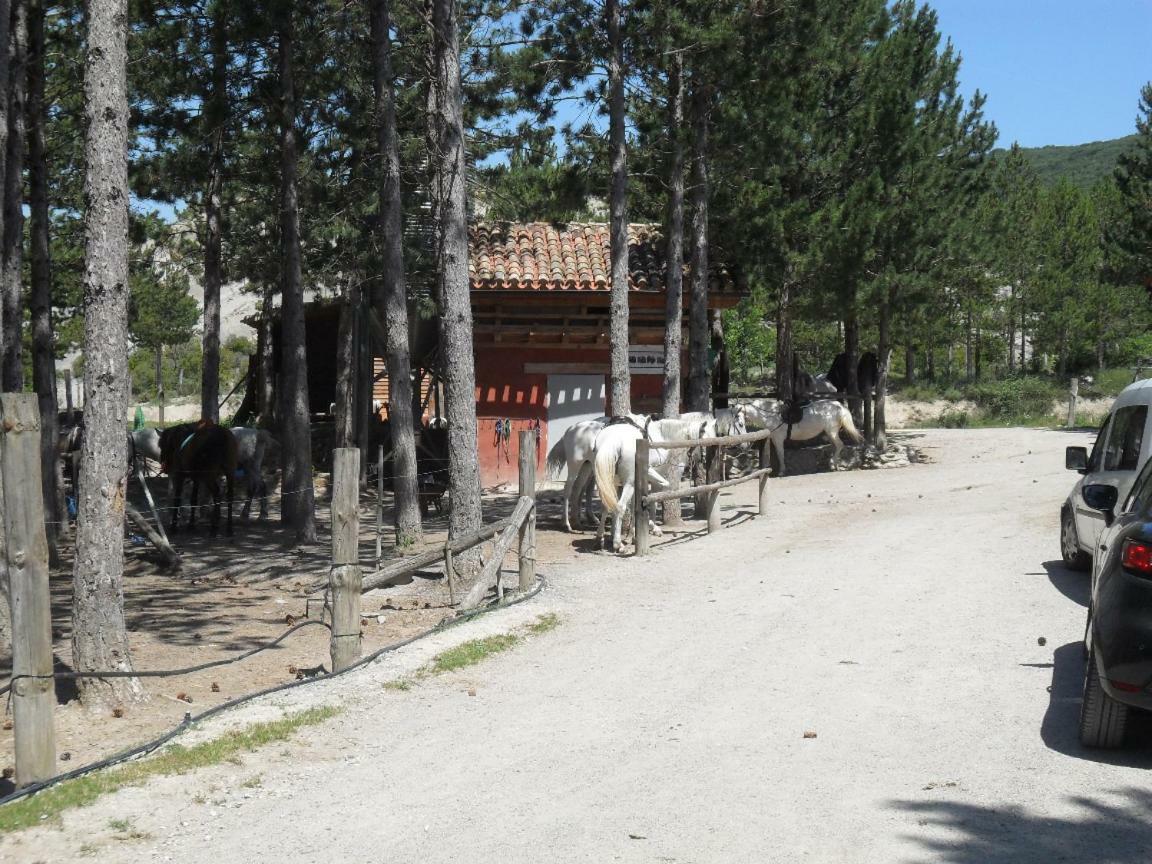 Appartamento Bienvenidos A Vuestra Casa! Sansoáin Esterno foto